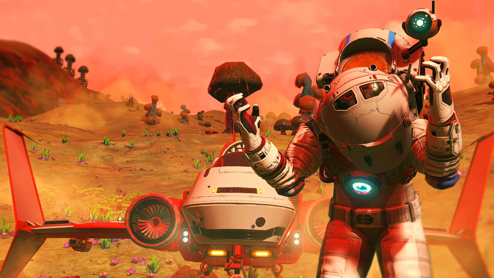 The Cursed Pilot