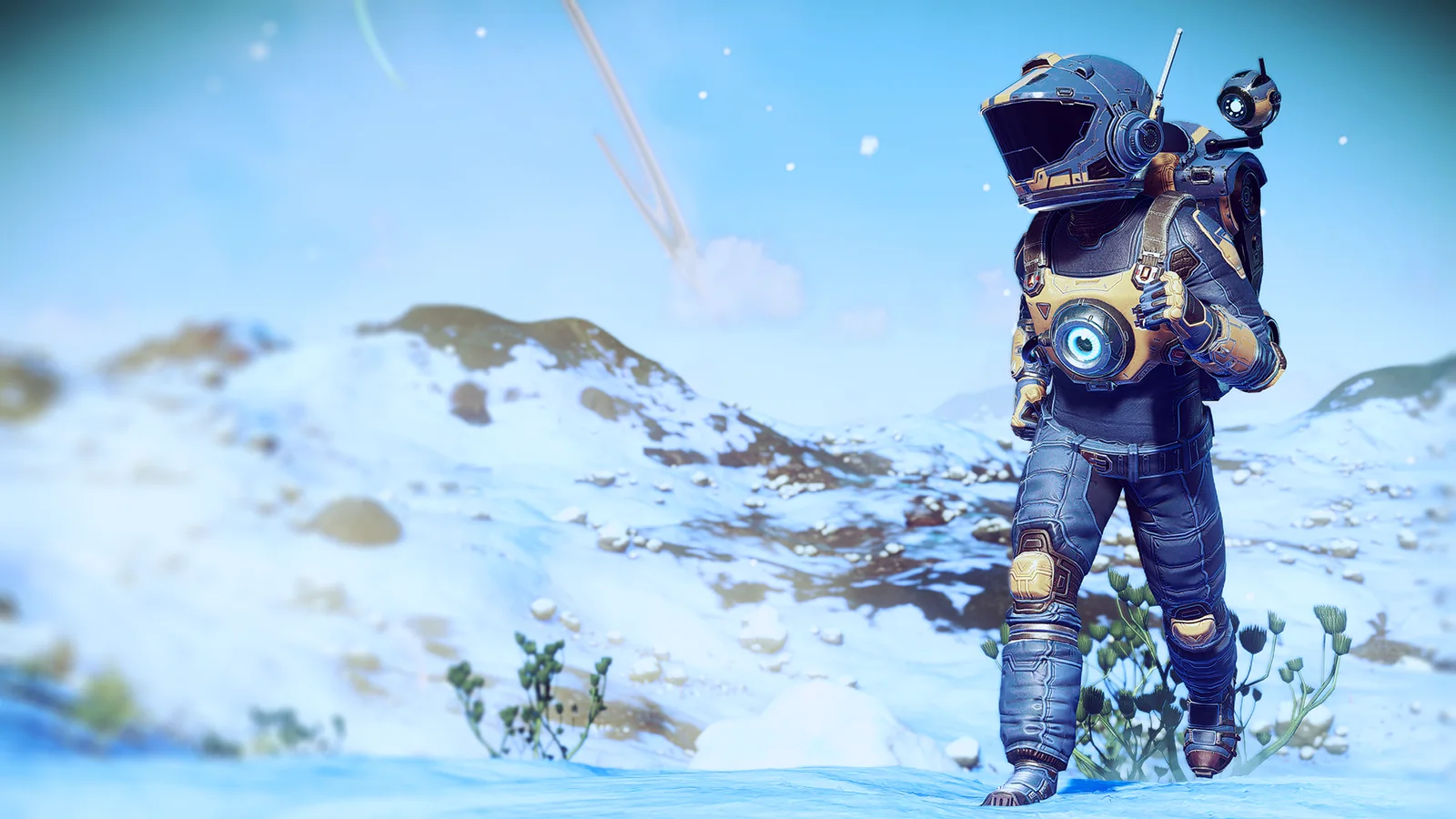 The Stranded