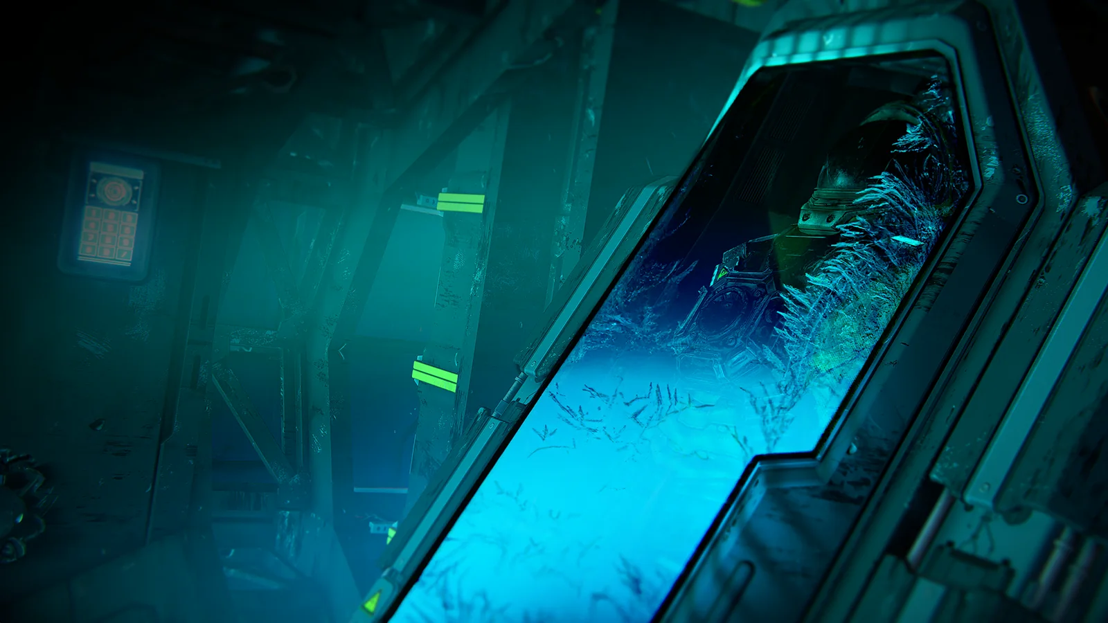 Proxima Beyond